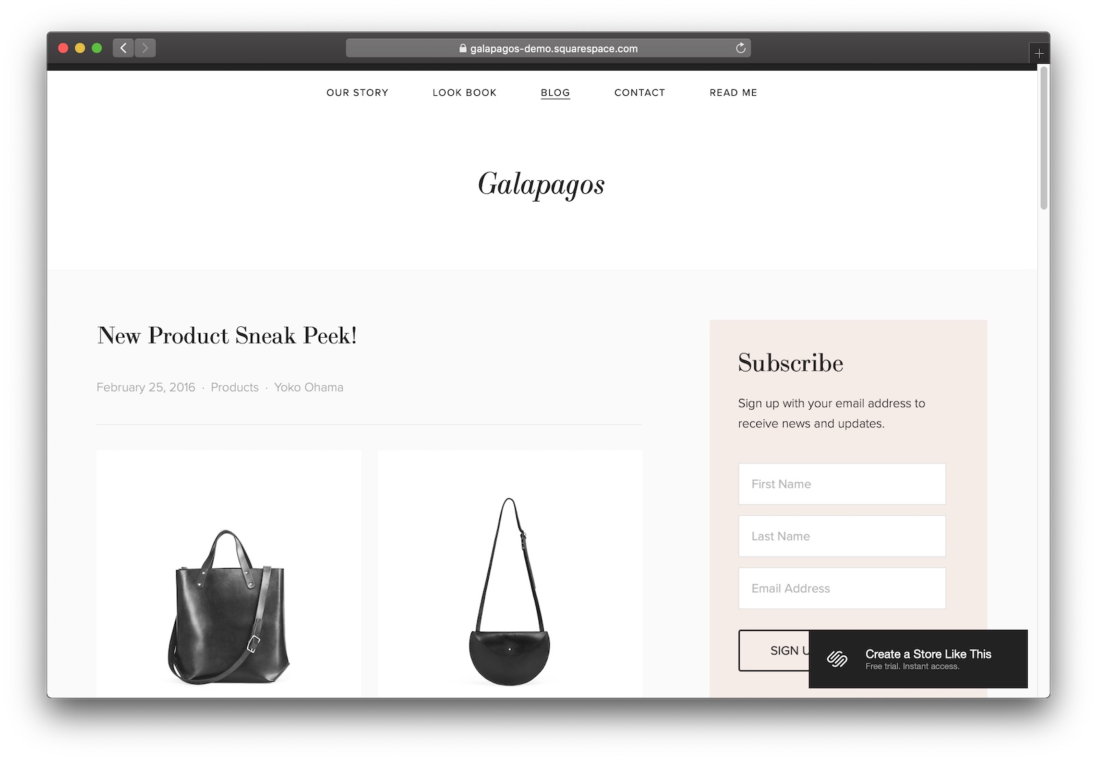 The Best Squarespace Template for Every Purpose Pro Designer Advice